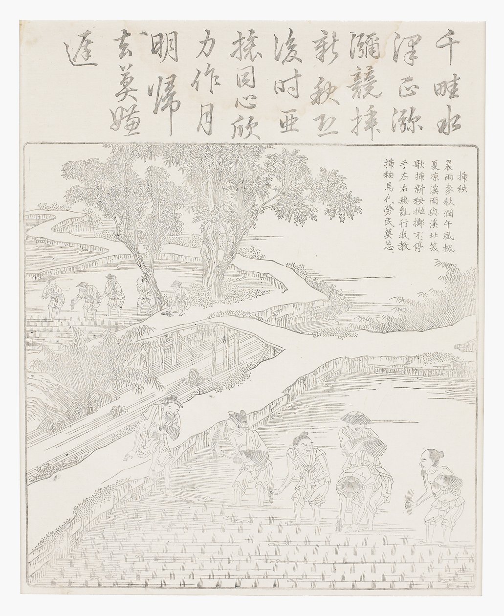 Rijst planten door School Chinese