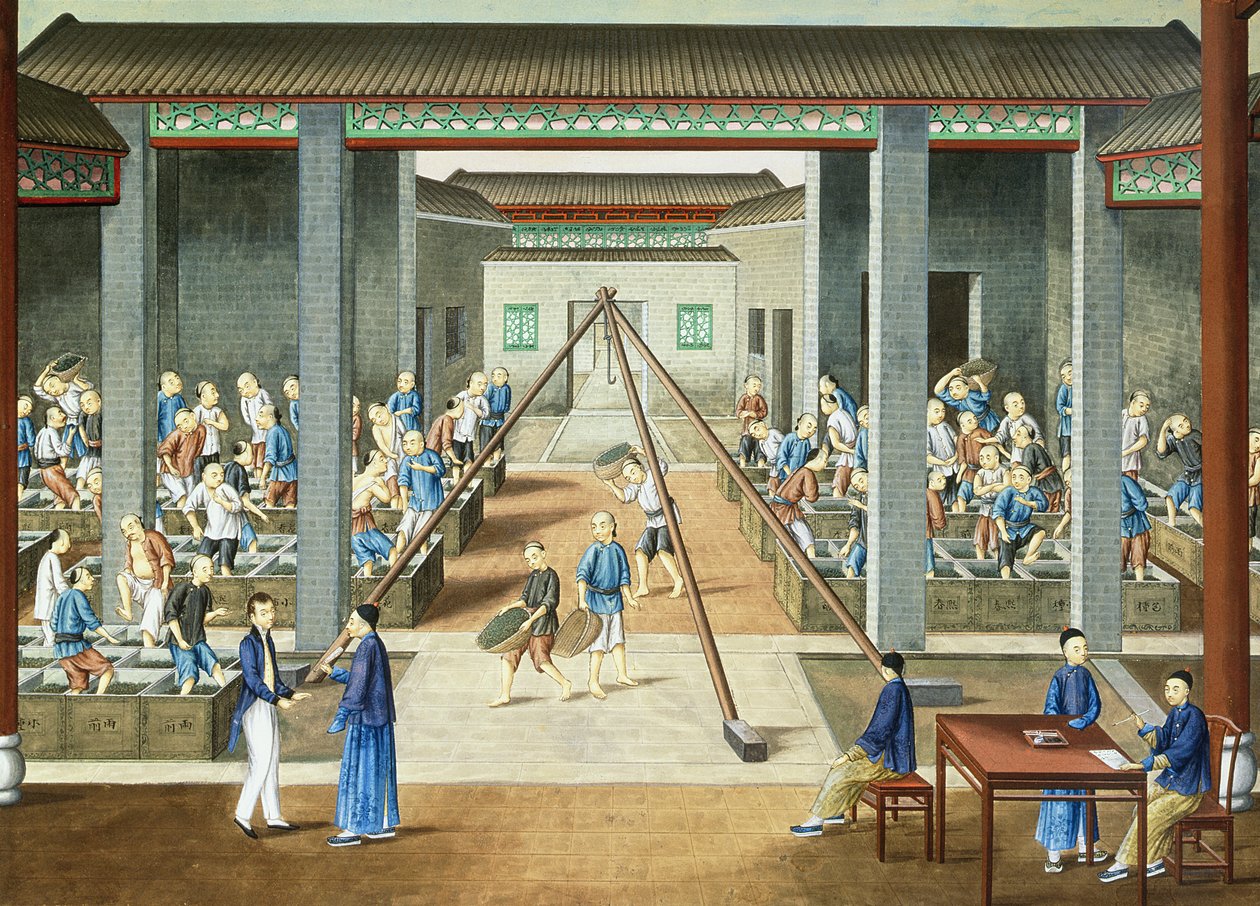 Theecultuur: thee wegen en kopen (gouache op papier) door School Chinese
