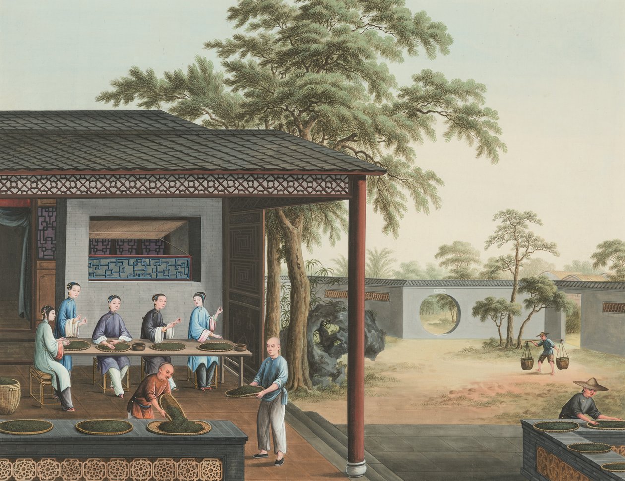 Theeproductie, c. 1820 door School Chinese