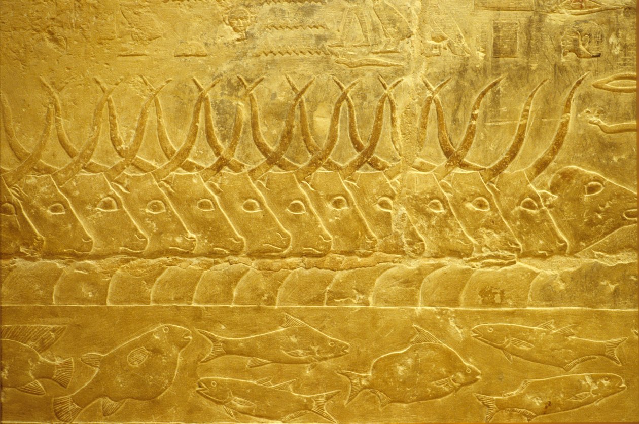 Oud Egypte, Muur gravure/schildering, Mastaba/Graf van Idout, Saqqara, 2323-2150 v.Chr., Vee steekt een rivier over door School Egyptian