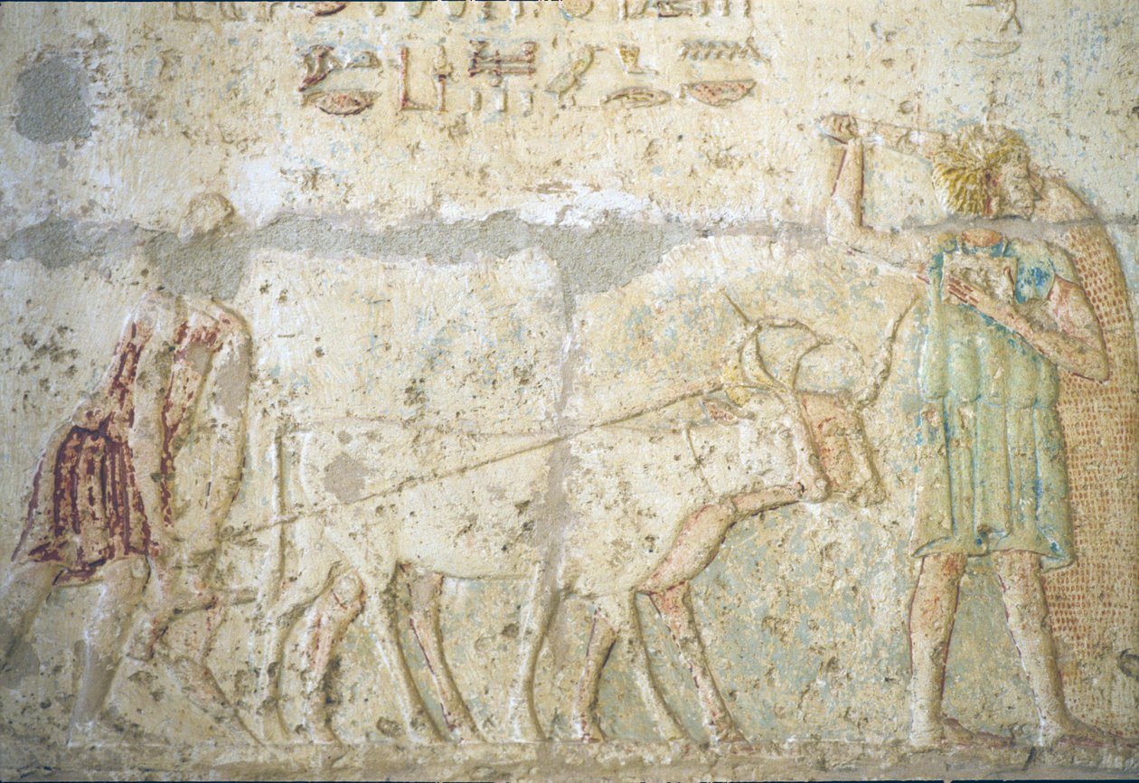 Oude Egypte, muurschildering, Graf van Petosiris, Tuna el Gebel, 300 v.Chr., Ploegen en zaaien van gewassen door School Egyptian