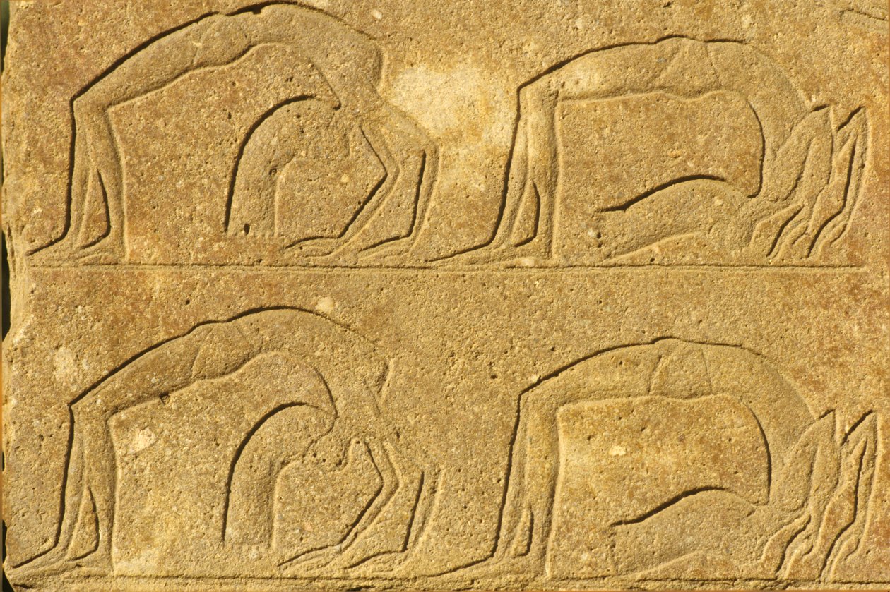 Vrouwelijke acrobaten die optreden, Karnak Tempel, Luxor door School Egyptian