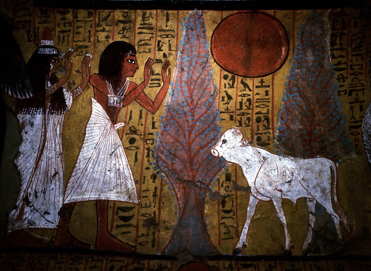 Luxor - Thebe: Linkeroever van de Nijl. Website van DEIR EL MEDINEH: Dorp en necropolis van ambachtslieden. Detail van een muurschildering van een graf die het kalf toont, nog dunne en fragiele benen, belichaamt de toekomstige apis. 19e Dynastie. door School Egyptian