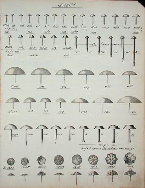 Spijkers, nagels en pinnen, uit een handelscatalogus van huishoudelijke goederen en fittingen, ca. 1890-1910 door School English