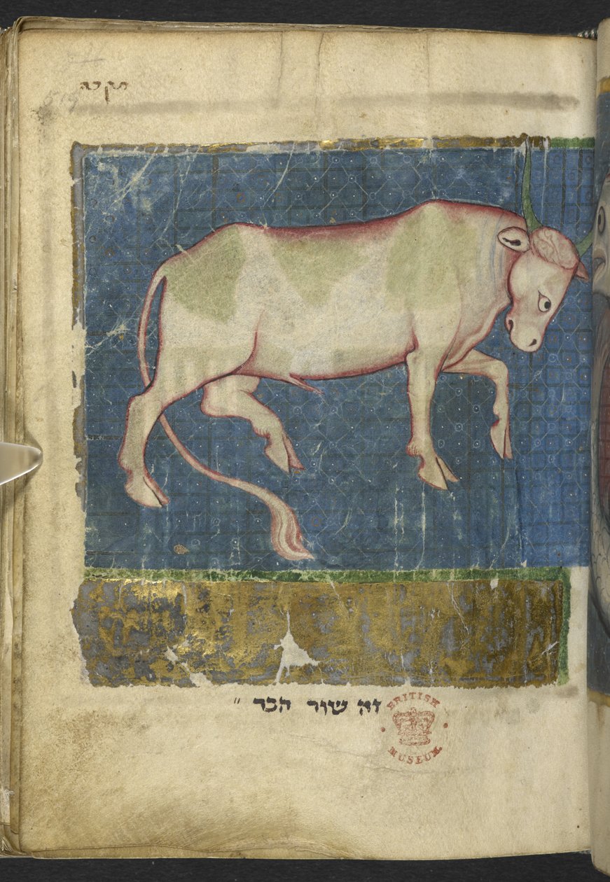 Een stier, uit een Miscellany van bijbelse en andere teksten (