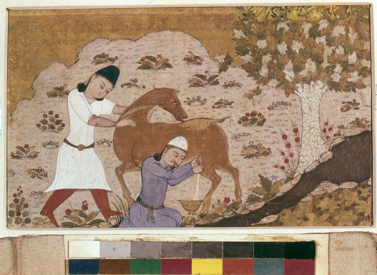 Onager Melken, laat 15e eeuw door School Iranian