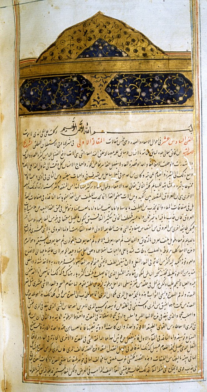 Pagina uit De Canon van de Geneeskunde (al-Qānūn fī aṭ-Ṭibb) door Avicenna door School Iranian
