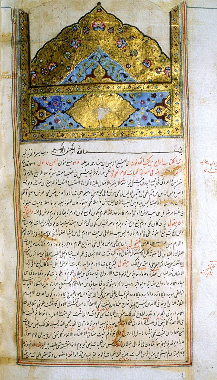 Pagina uit De Canon van de Geneeskunde (al-Qānūn fī aṭ-Ṭibb) door Avicenna door School Iranian