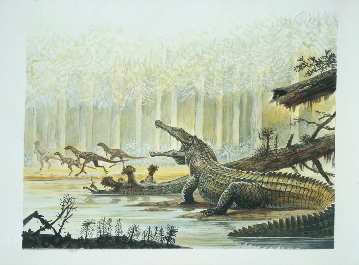 Rutiodon met Fabrosaurus op de achtergrond, Trias-periode door School Italian