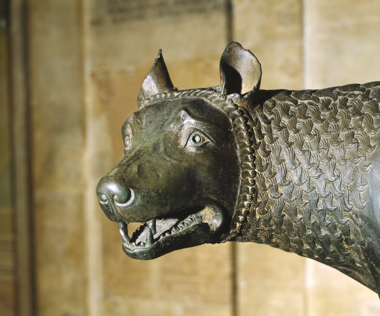 De Capitolijnse Wolf door School Italian