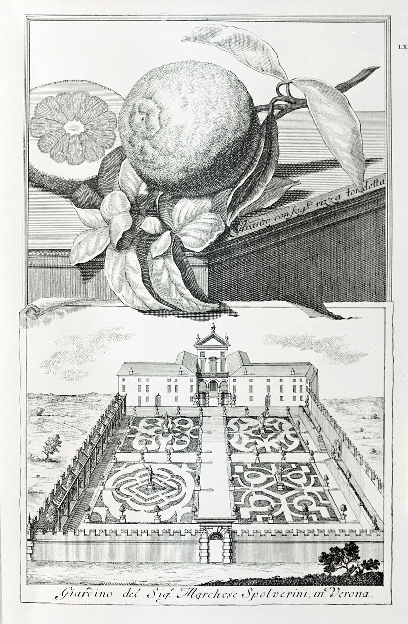 Villa van Markies Spolverini van Verona, uit "Villas, Gardens and Landscapes in Venice" door A. Volkamer door School Italian