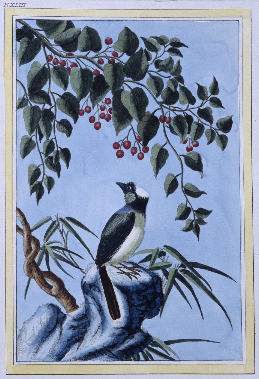 Vogel - Japanse prent door Japanese School