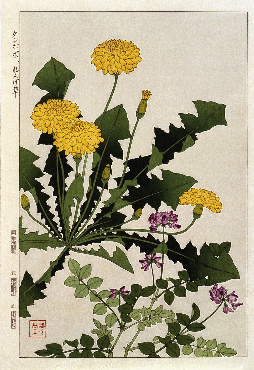 Paardenbloem bloemen - Japanse prent door Japanese School