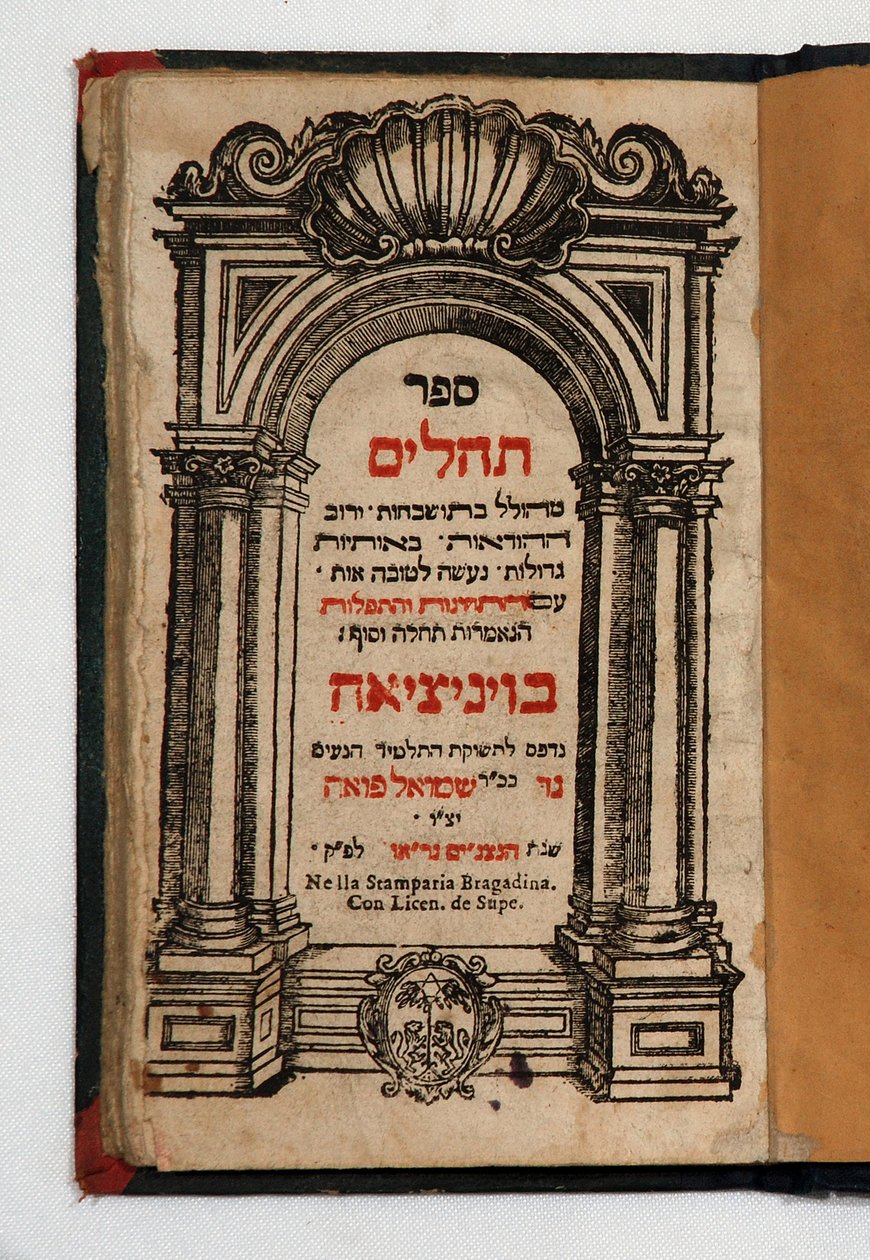 Boek van Tehilim door School Jewish