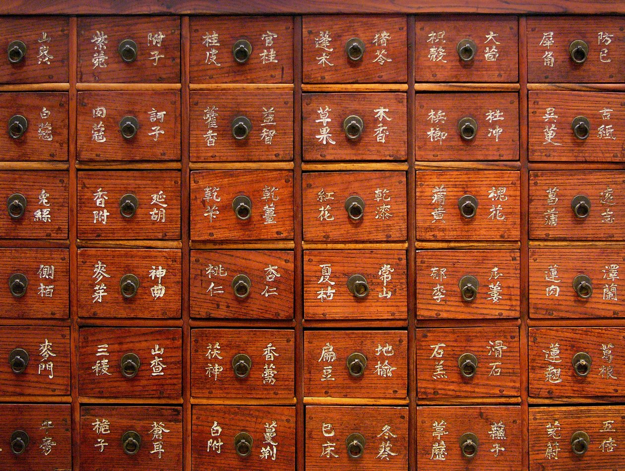 Detail van een houten medisch meubel, Joseon-periode, Korea, Kim Chong-hak Collectie. Fotografie, Seoul National Museum, Republiek Korea, 2006 door School Korean