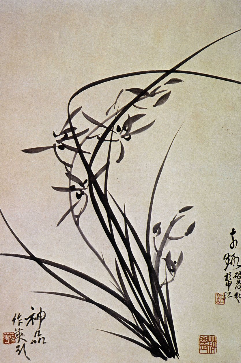 Orchideeën. Koreaanse prent van de YI-dynastie. door School Korean