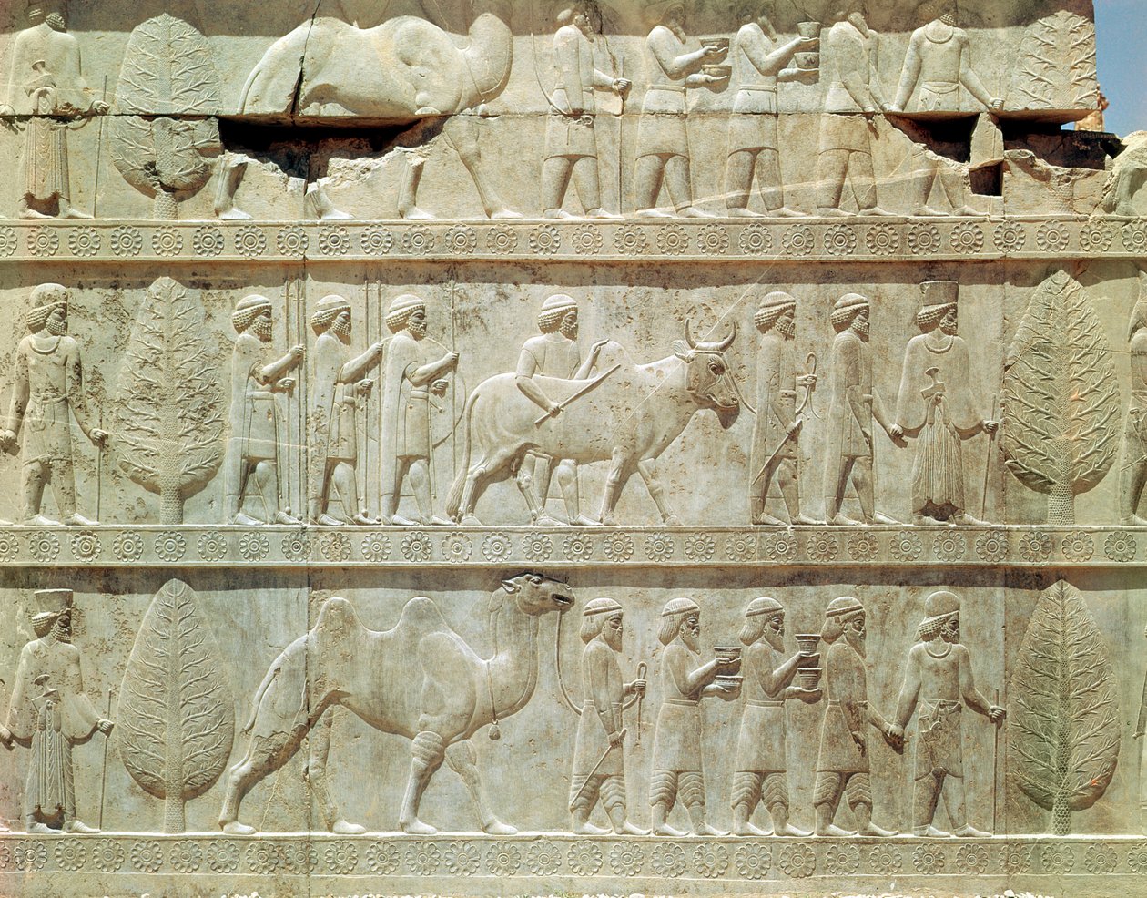 Detail van de reliëffries op de oostelijke trap naar de Apadana (audiëntiezaal) die afgevaardigden uit de onderworpen landen van het rijk afbeeldt met rijke geschenken voor een ceremonie, Achaemenidische periode, ca. 515 v.Chr. door School Persian