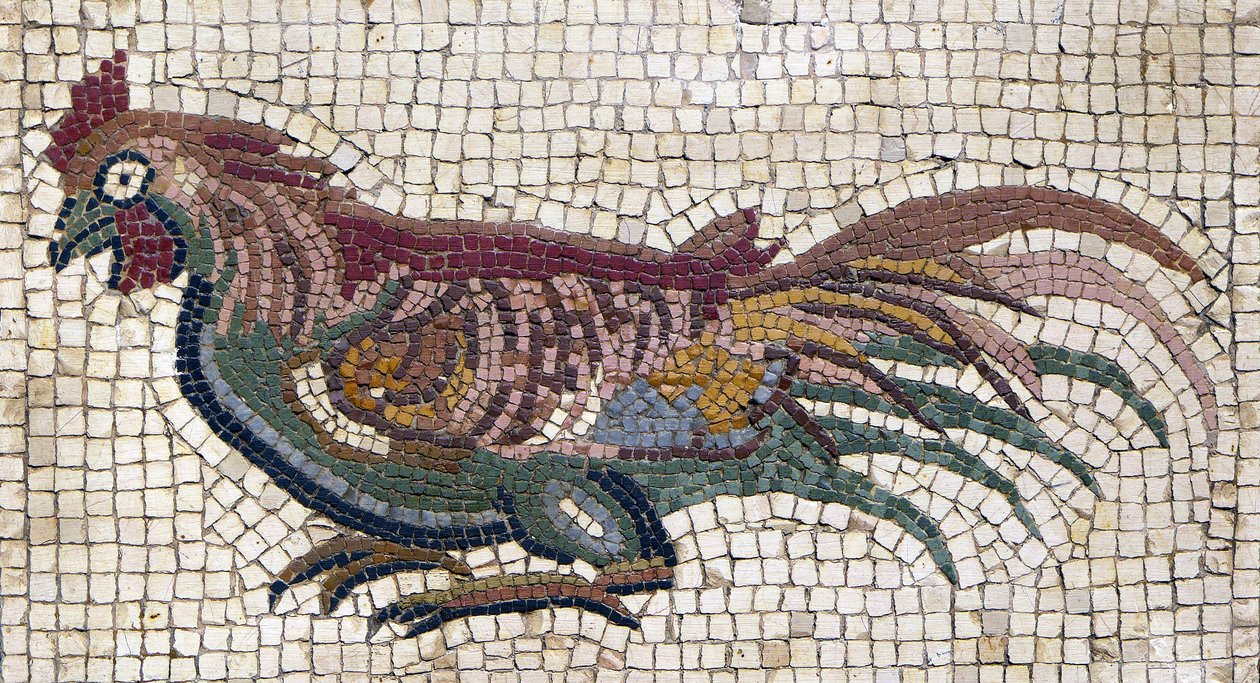 Bonte haan van de grond van een Romeinse villa in Tunesië (mozaïek) door School Roman