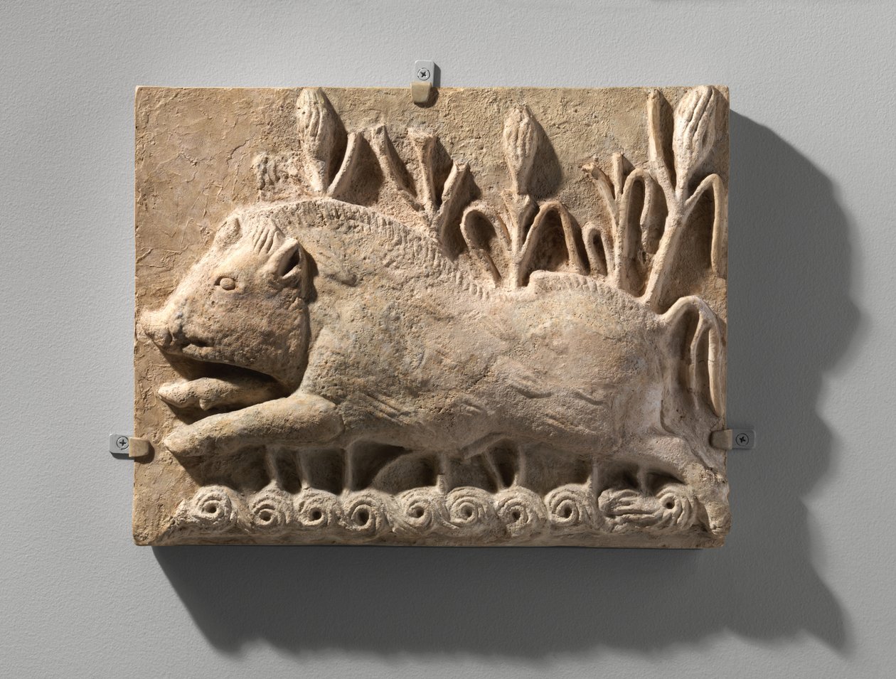 Muurpaneel met een Aanvallend Wild Zwijn, c.6e eeuw AD door School Sasanian