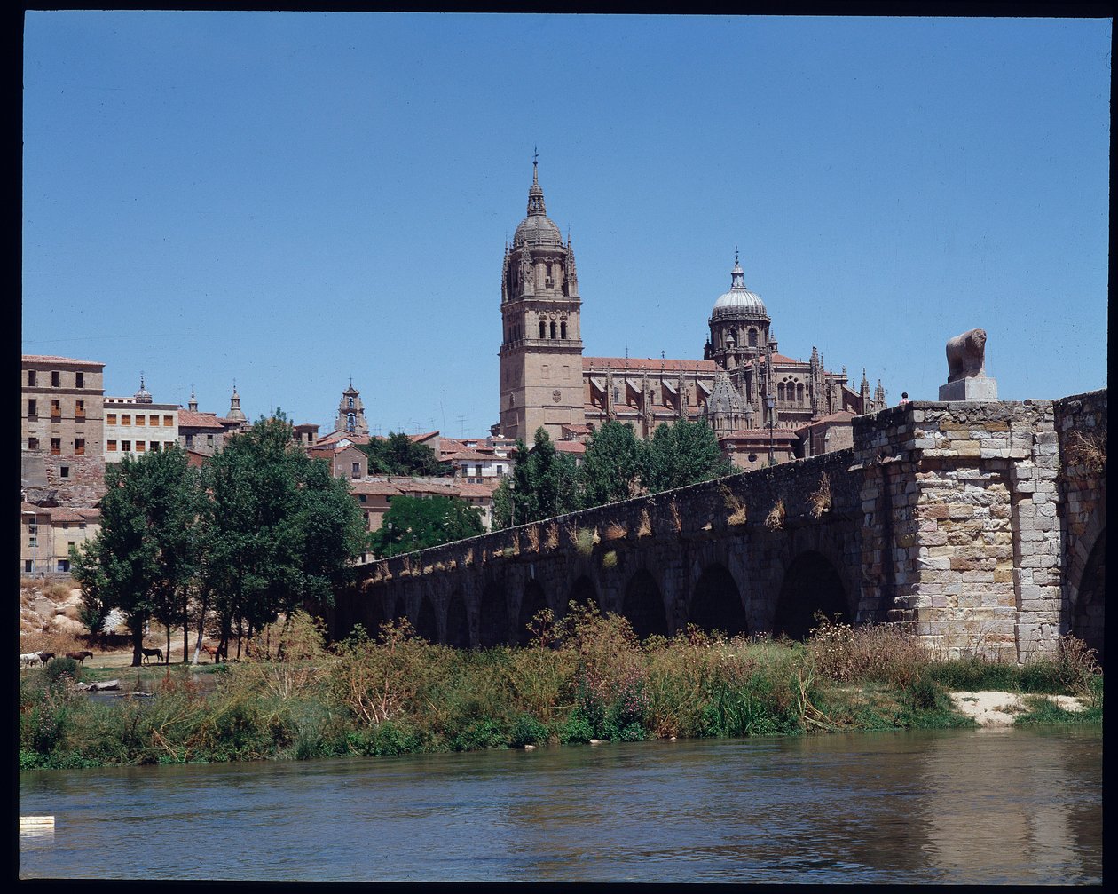 Uitzicht op Romeinse brug over rivier, Tormes en kathedraal door School Spanish