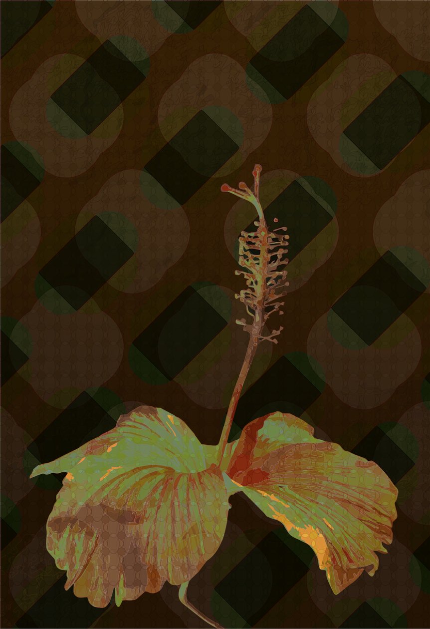 Hibiscus, 2019 door Scott J. Davis
