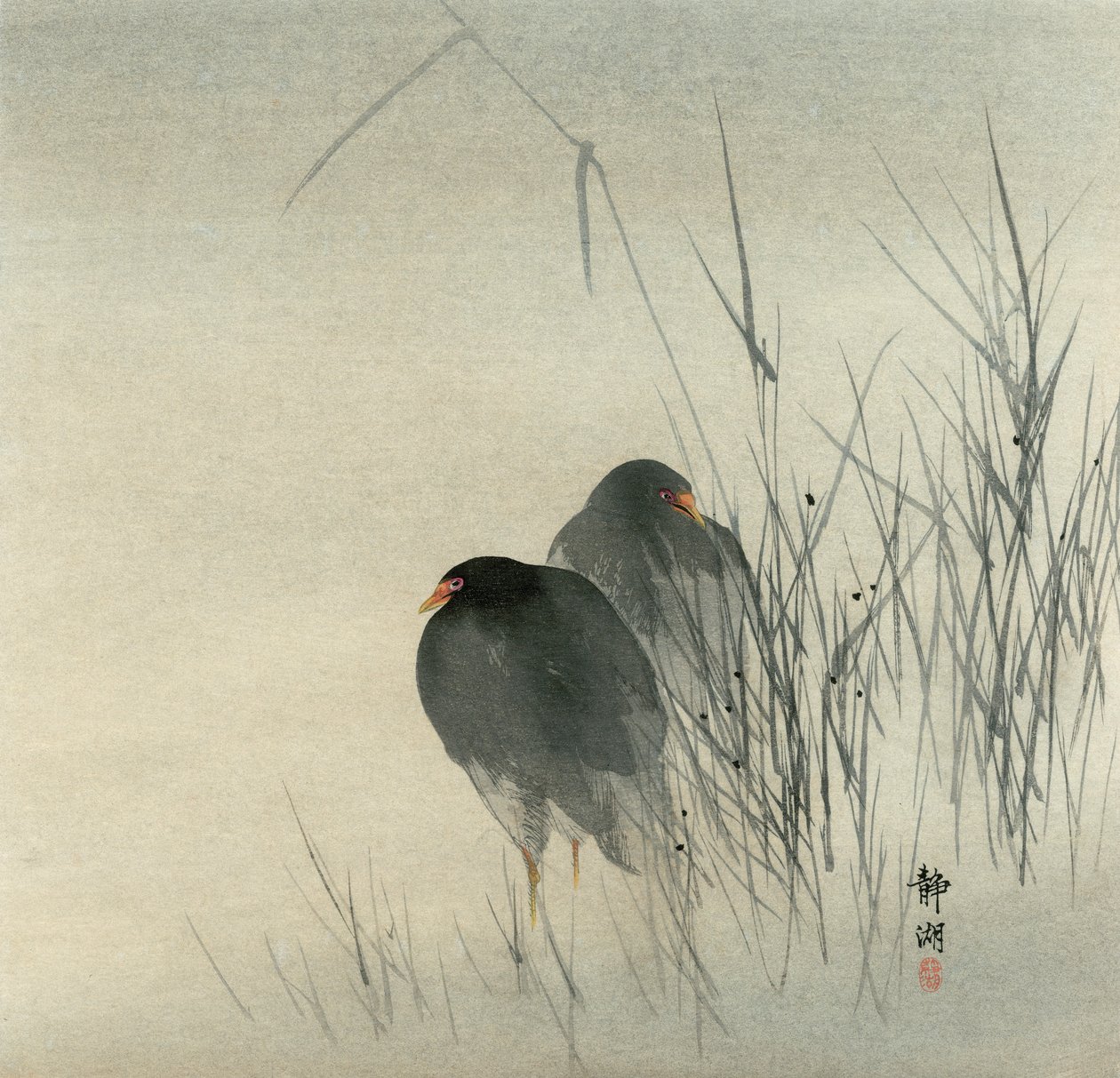 Twee waterhoentjes in mistige rietvelden door Seiko Okuhara