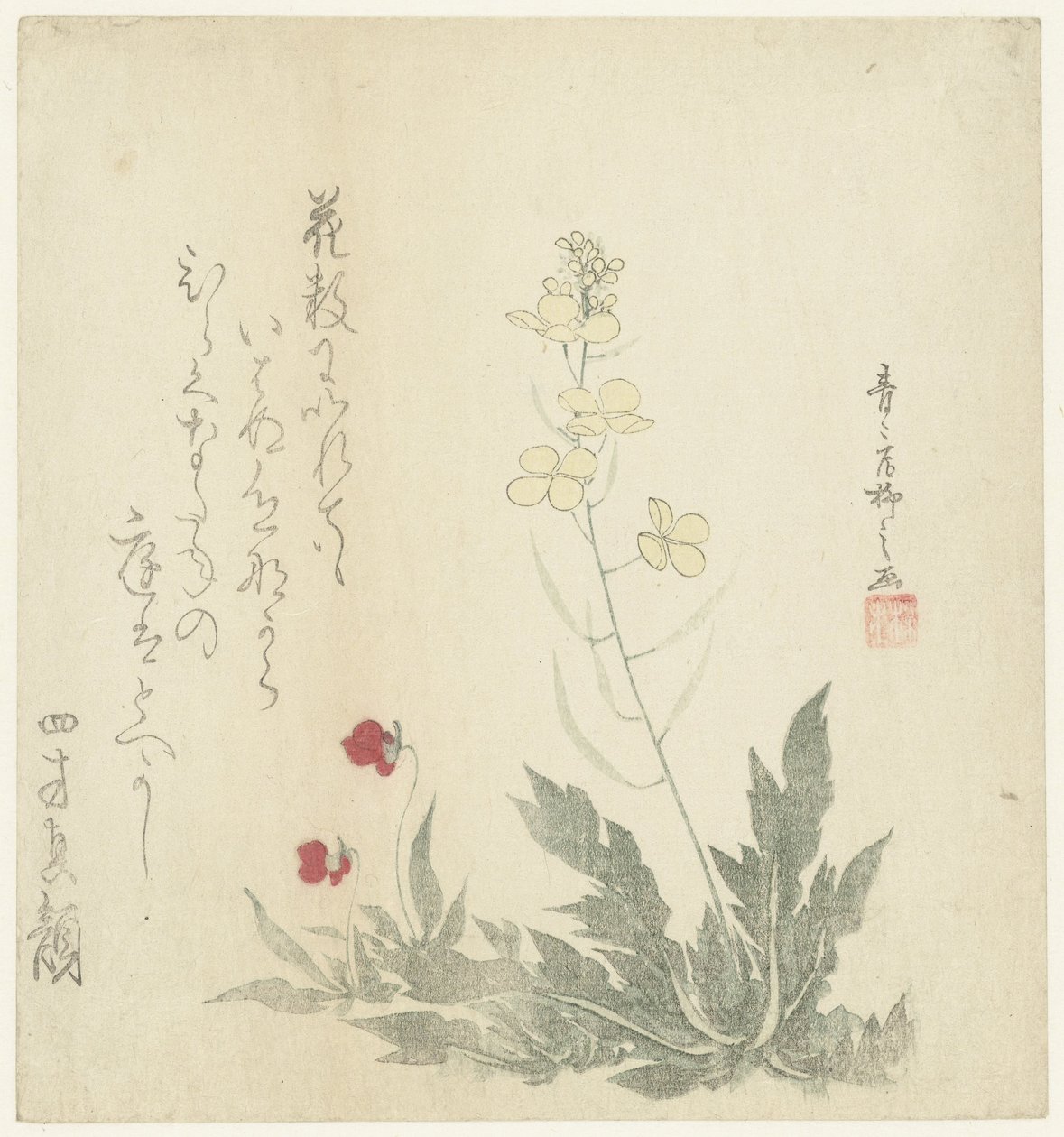 Bloeiende planten door Seiseikyo Ryûshi