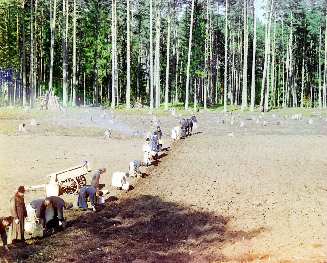 Monniken planten aardappelen nabij het Getsemane Klooster, Wolgarivier, Russisch Rijk, 1910 door Sergey Prokudin Gorsky