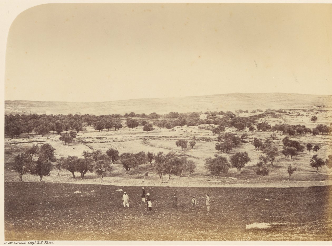 Panoramisch Uitzicht op de Stad - Algemeen Uitzicht op de Stad vanuit het Noorden door Sgt. James M. McDonald