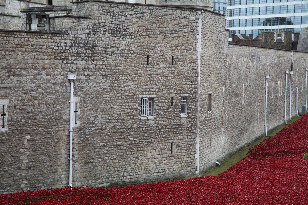 Blood Swept Lands and Seas of Red, Tower of London door Sheldon Marshall