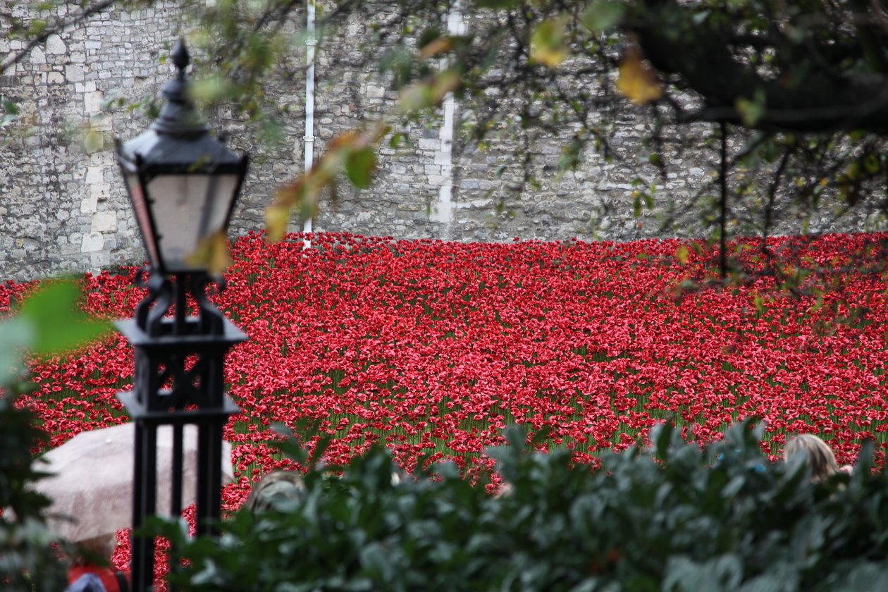Blood Swept Lands and Seas of Red, Tower of London door Sheldon Marshall