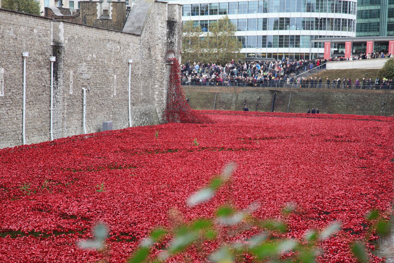 Bloed doordrenkte landen en zeeën van rood, Tower of London, 2014 door Sheldon Marshall
