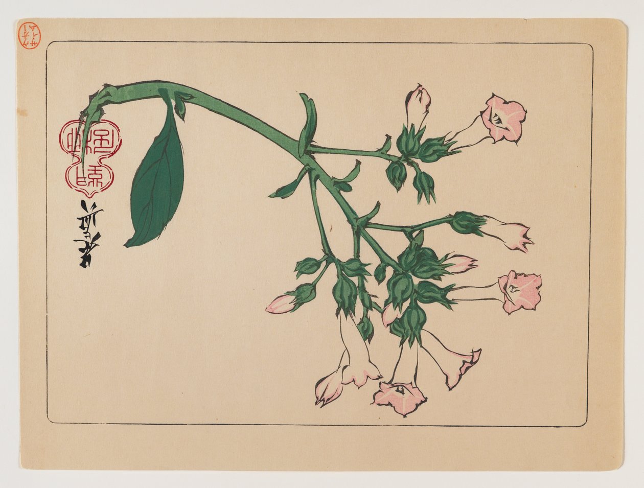 Bloeiende plant uit de serie Hana Kurabe door Shibata Zeshin