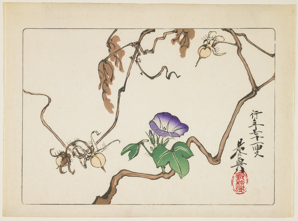 Wijnstok en zaden van ochtendglorie, 1877 door Shibata Zeshin