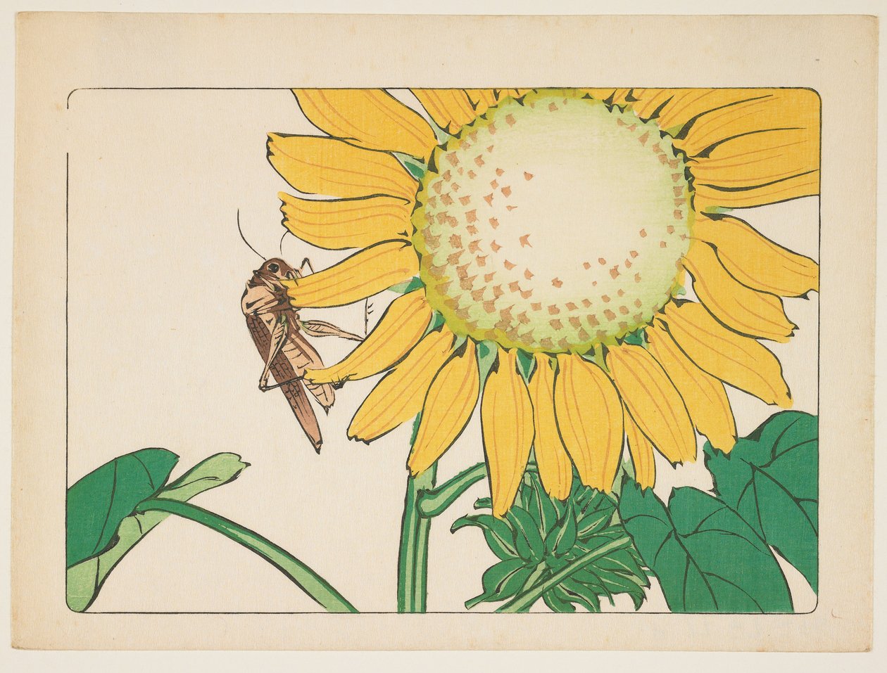 (Sprinkhaan en zonnebloem) door Shibata Zeshin