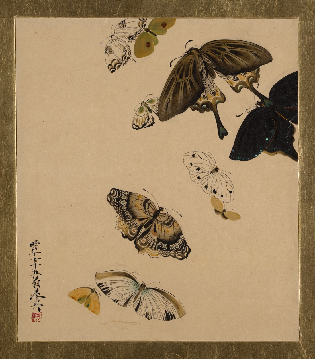 Lakken schilderijen van verschillende onderwerpen: Vlinders, gedateerd 1881 door Shibata Zeshin