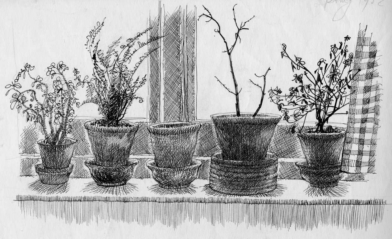 Dode planten op een vensterbank, 1952 door Shirley Markham