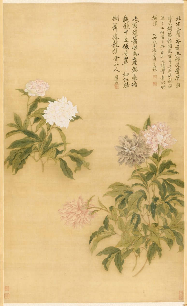 Pioenen, hangende rol door Shouping Yun
