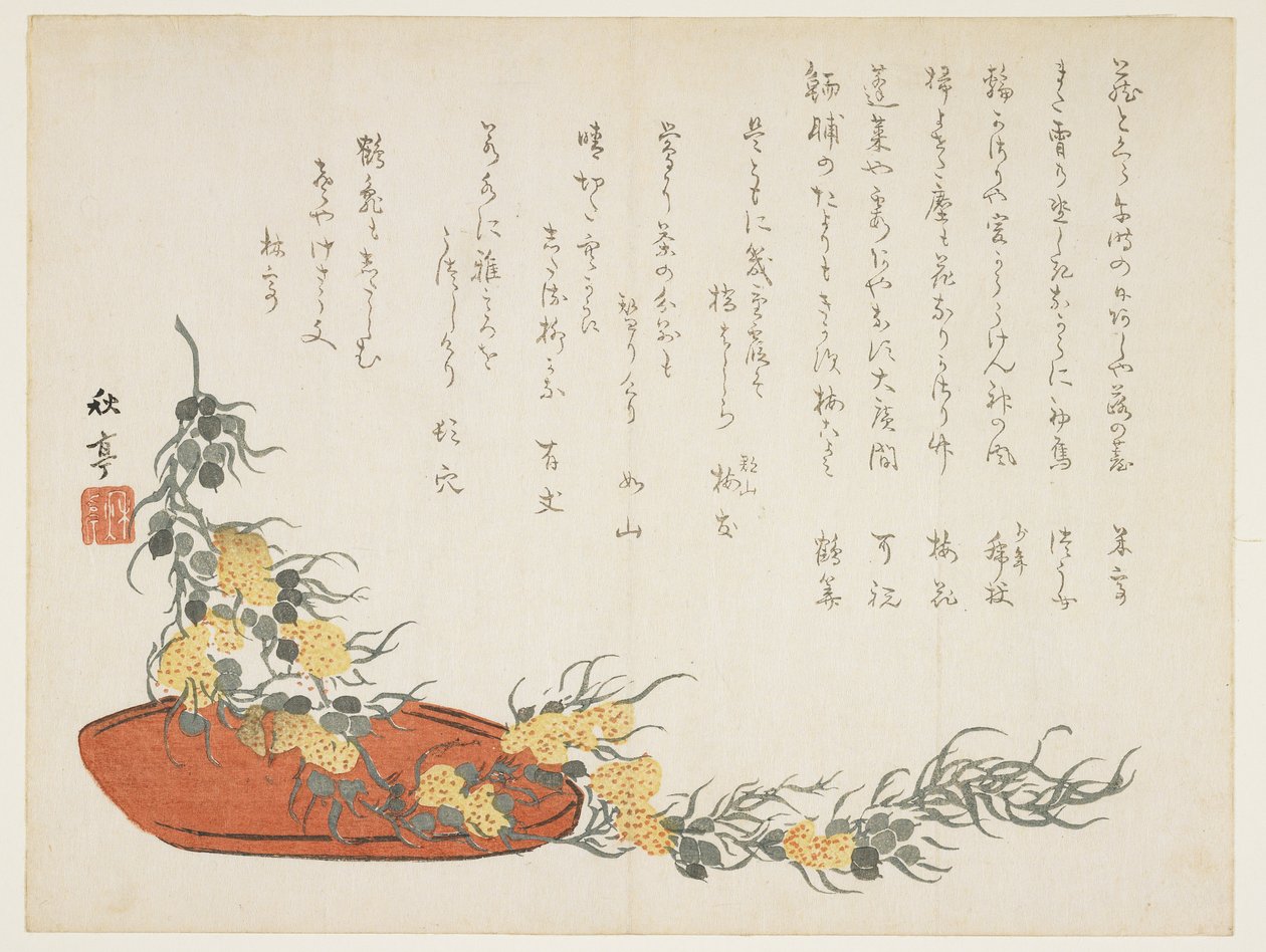 (Wijnstok streamer), ca. 1854-1859 door Shûtei Tanaka
