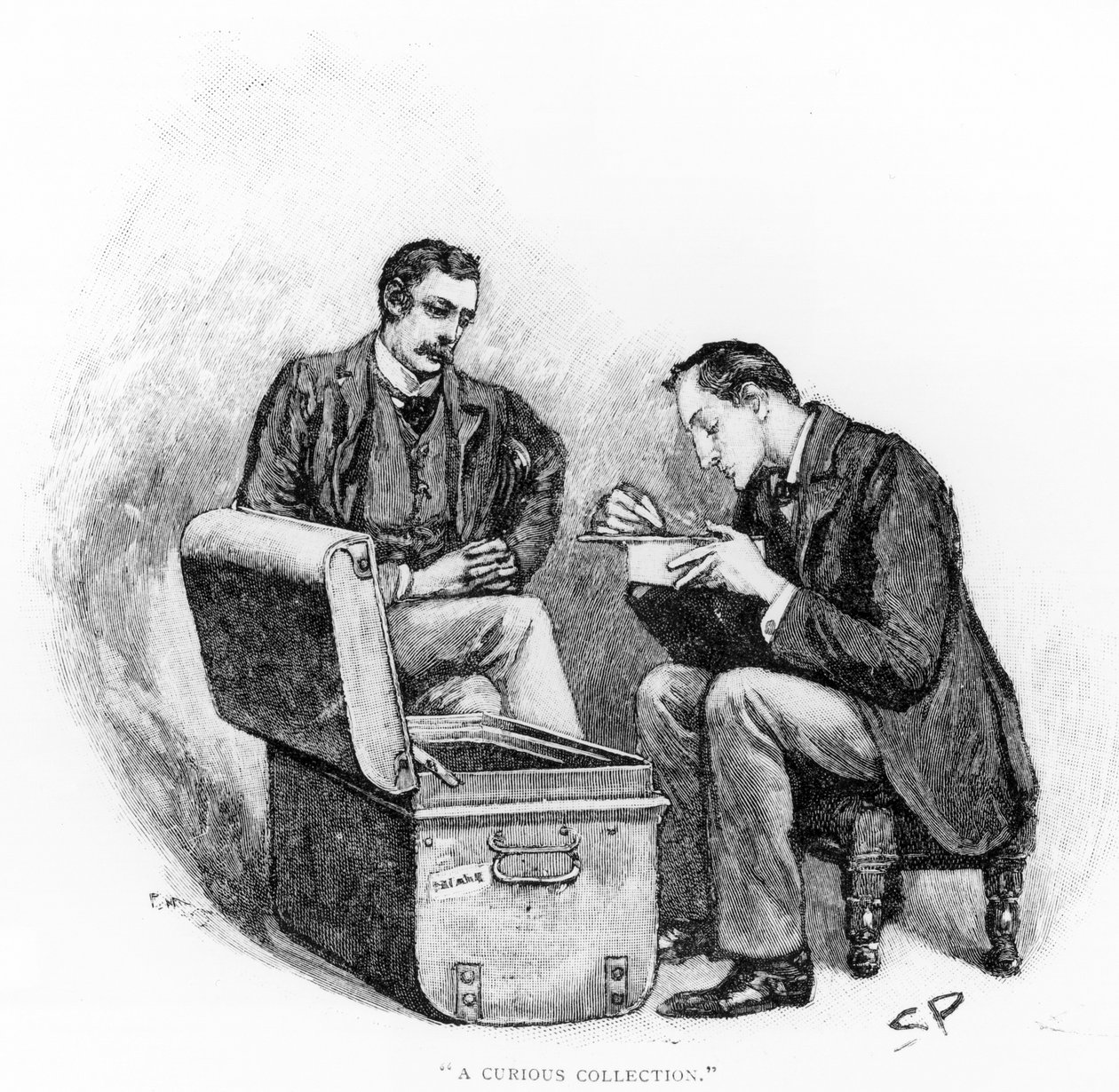 Een Curieuze Collectie, illustratie uit 