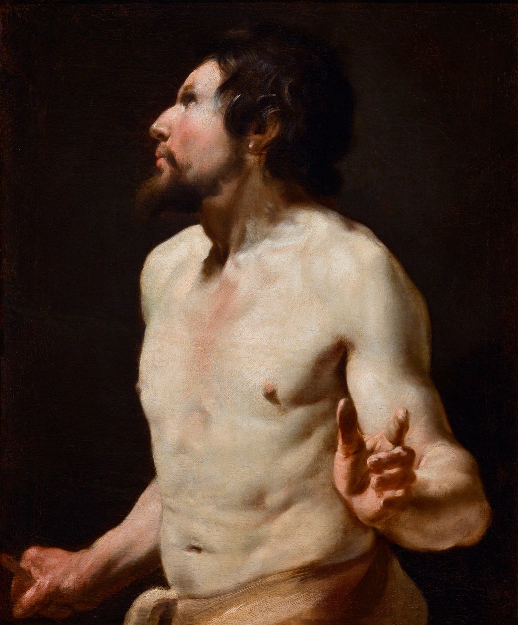 Studie van torso Schilderij van de school van Simon Vouet (1590-1649) door Simon (circle of) Vouet