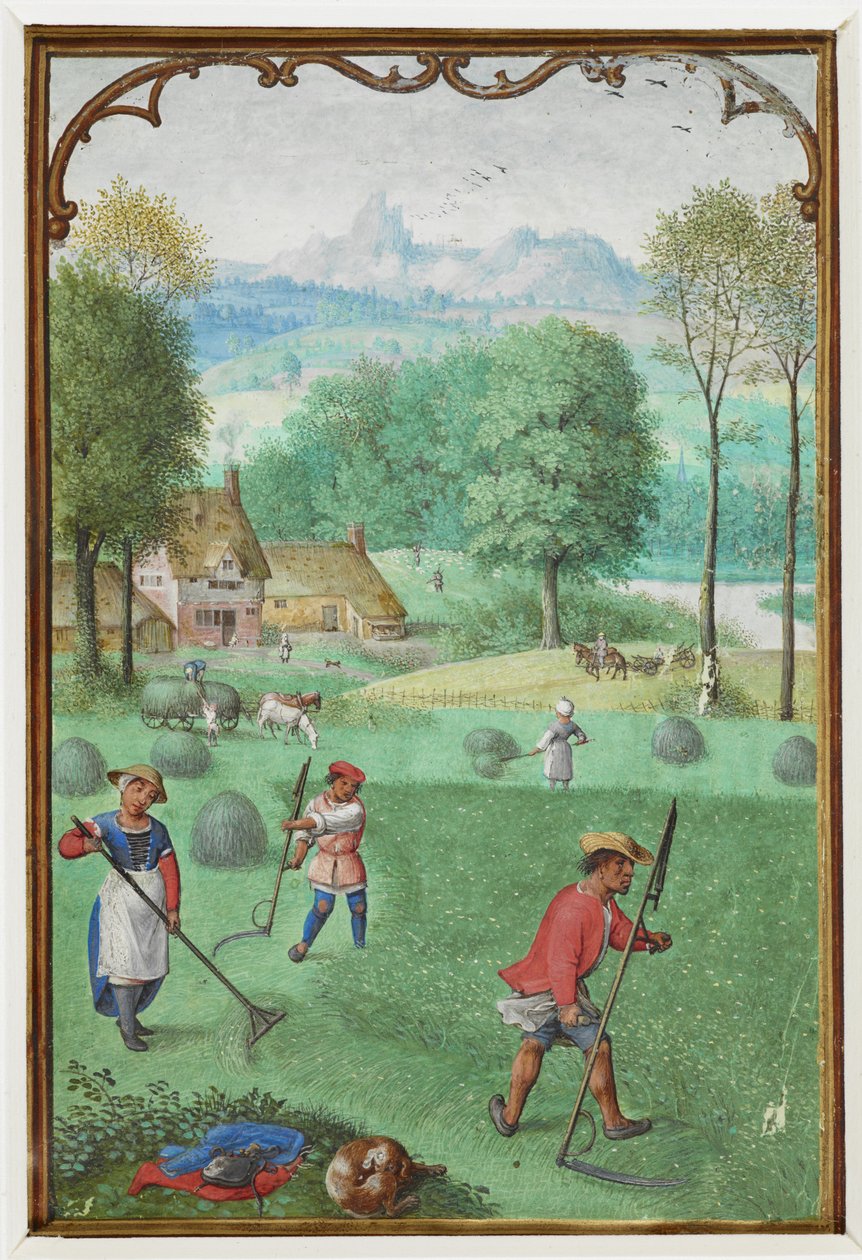 Juli: oogst, zaaien, uit een Getijdenboek, c.1540 door Simon Bening