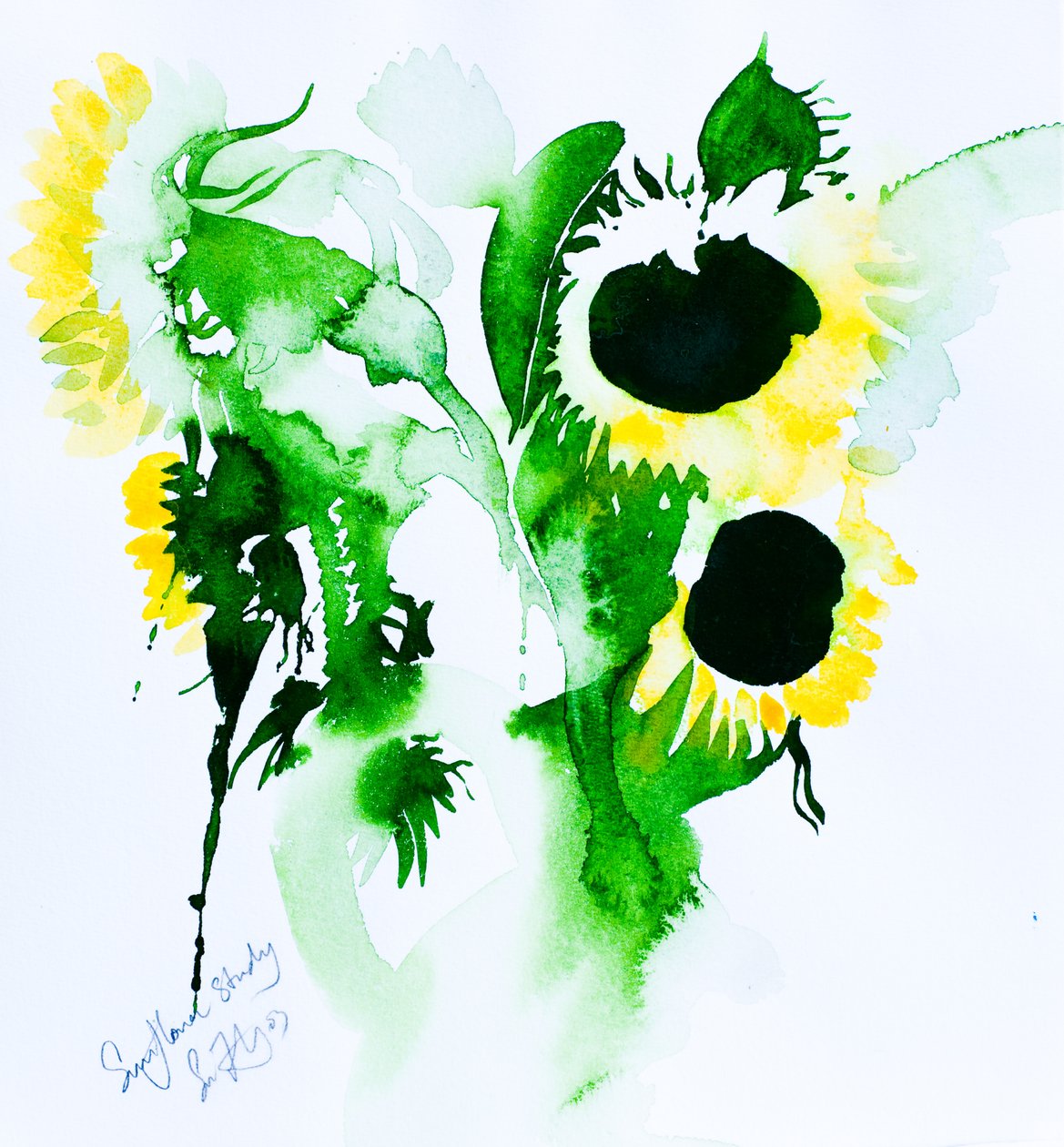Zonnebloem Studie (aquarel op papier) door Simon Fletcher