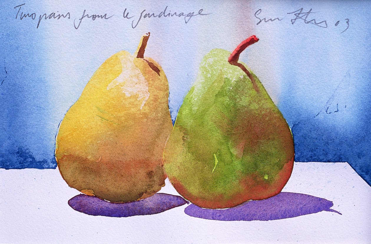 Twee peren uit de tuin, 2003 (aquarel op papier) door Simon Fletcher
