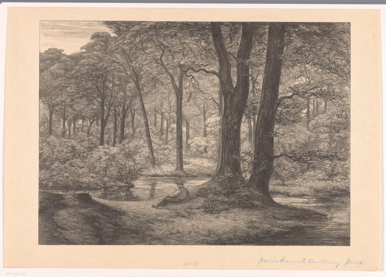 Gezicht op de Hunnenschans op de Veluwe De hunnenschans door Simon Moulijn