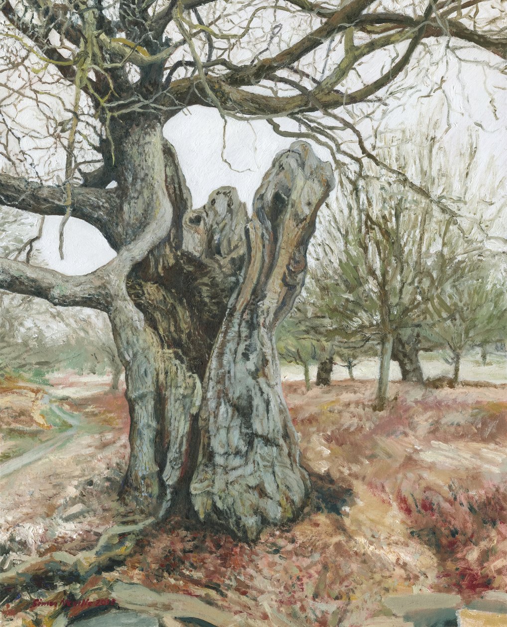 Oude boom, Richmond Park, 2018 (olieverf op linnen) door Simon Neville