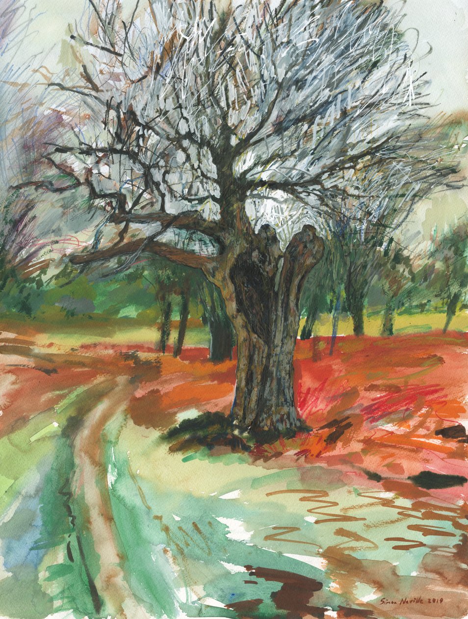Oude boom, Richmond Park door Simon Neville