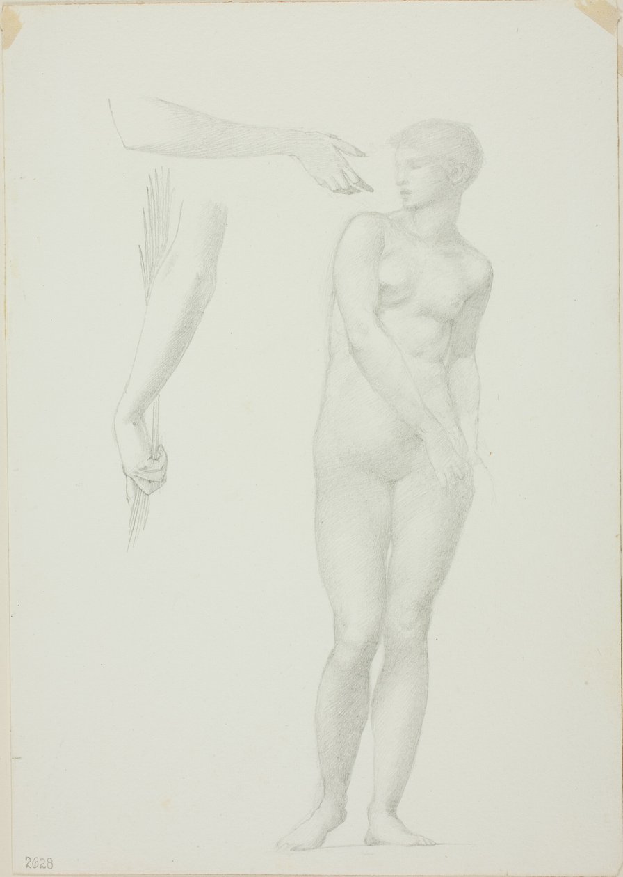 Staande Vrouwelijke Naakt en Schetsen van Armen door Sir Edward Burne Jones