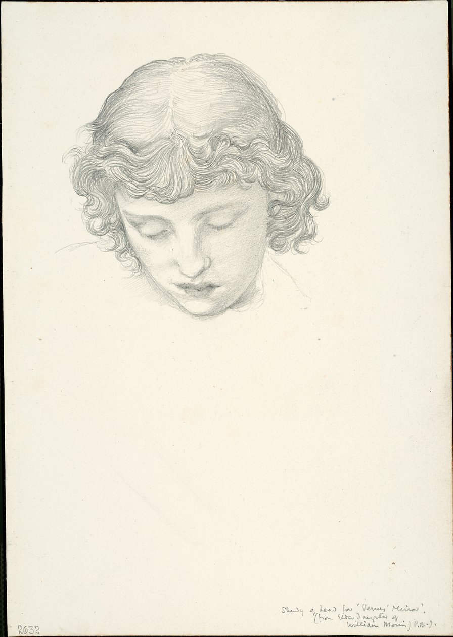 Studie voor Spiegel van Venus: Hoofd door Sir Edward Burne Jones