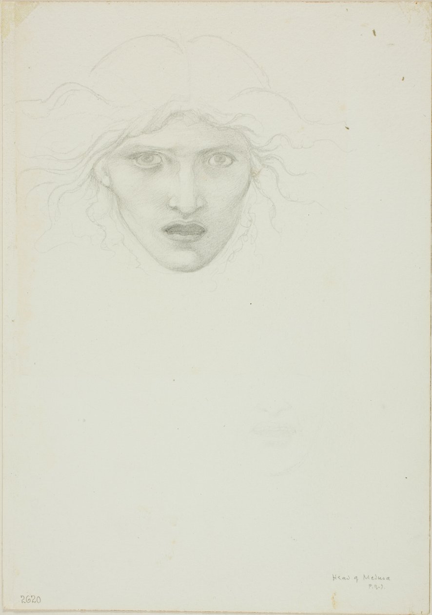 Studie voor Rondanini Medusa door Sir Edward Burne Jones